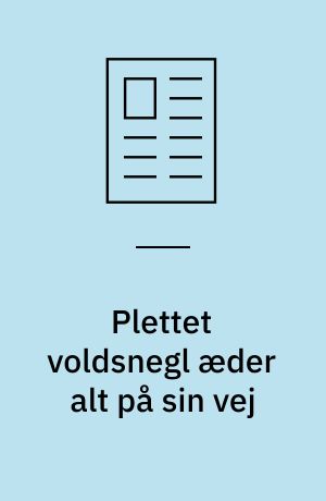Plettet voldsnegl æder alt på sin vej : sådan tackler haveejere dyret