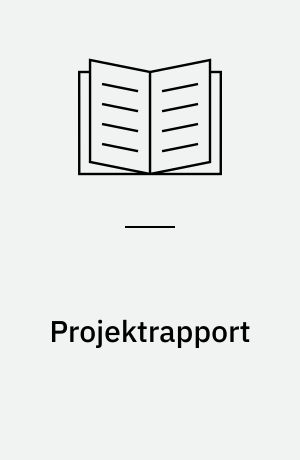 Projektrapport : forløb, erfaringer og resultater fra projekt FOKUS
