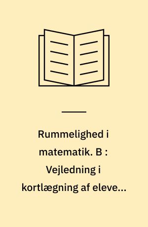 Rummelighed i matematik. B : Vejledning i kortlægning af elevens vanskeligheder