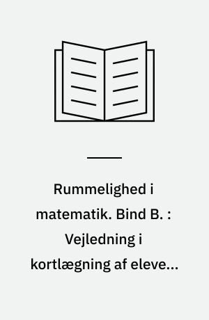 Rummelighed i matematik. Bind B. : Vejledning i kortlægning af elevens vanskeligheder