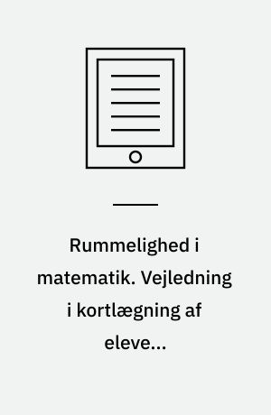 Rummelighed i matematik. Vejledning i kortlægning af elevens vanskeligheder. Bind B