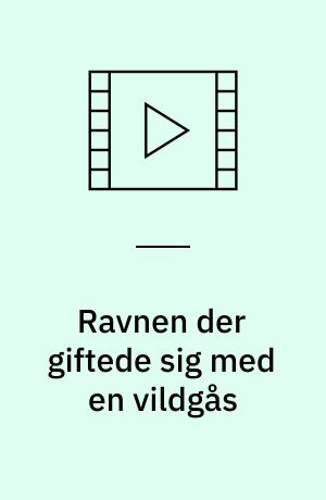 Ravnen der giftede sig med en vildgås