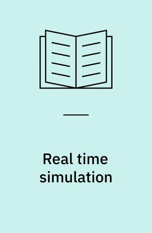 Real time simulation