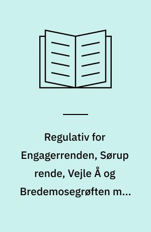 Regulativ for Engagerrenden, Sørup rende, Vejle Å og Bredemosegrøften med tilløb