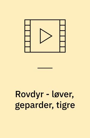 Rovdyr - løver, geparder, tigre