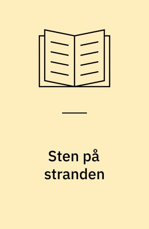 Sten på stranden