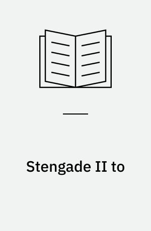 Stengade II to : en langelandsk gravplads med grave fra romersk jernalder og vikingetid