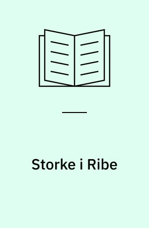 Storke i Ribe