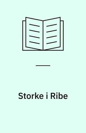 Storke i Ribe