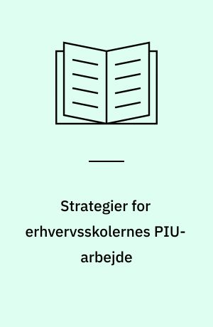 Strategier for erhvervsskolernes PIU-arbejde