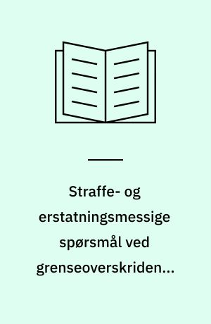 Straffe- og erstatningsmessige spørsmål ved grenseoverskridende sendinger i fjernsyn og nettverk