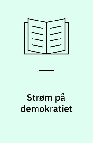 Strøm på demokratiet : it som formidler af det regionale og lokale demokrati