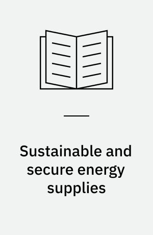 Sustainable and secure energy supplies : status, targets and political & financial tools