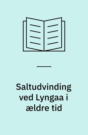 Saltudvinding ved Lyngaa i ældre tid