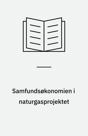 Samfundsøkonomien i naturgasprojektet