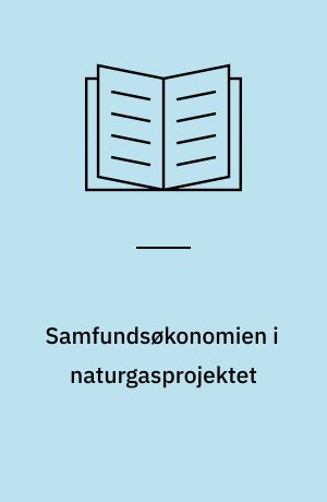 Samfundsøkonomien i naturgasprojektet