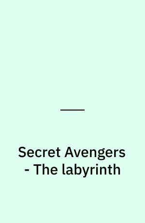 Secret Avengers - The labyrinth