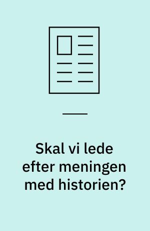 Skal vi lede efter meningen med historien?