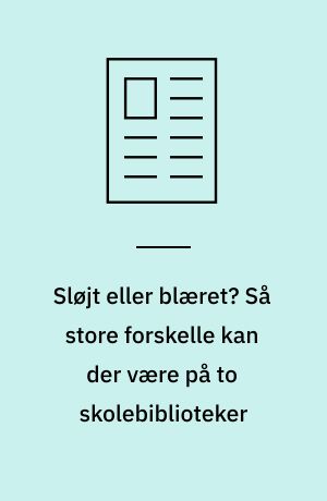 Sløjt eller blæret? Så store forskelle kan der være på to skolebiblioteker