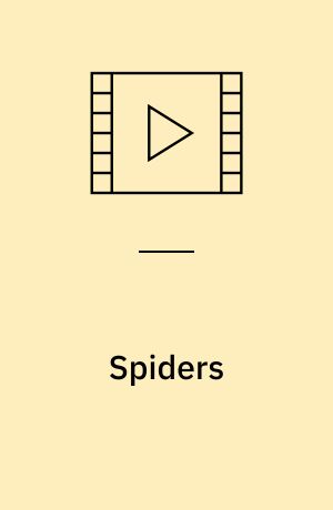 Spiders