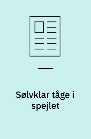 Sølvklar tåge i spejlet : "Bag spejlet" - om et fotografisk eventyr