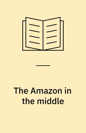 The Amazon in the middle : Søs Brysch : om kunstneren Søs Brysch med særligt henblik på hendes malerkunst