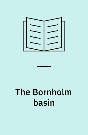 The Bornholm basin : estuarine dynamics