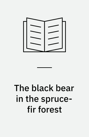 The black bear in the spruce-fir forest