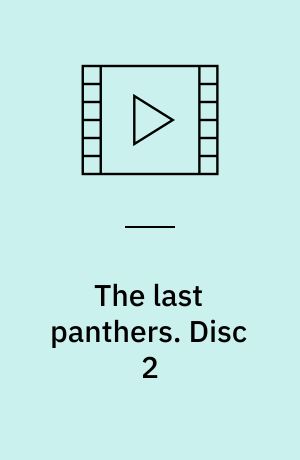 The last panthers. Disc 2