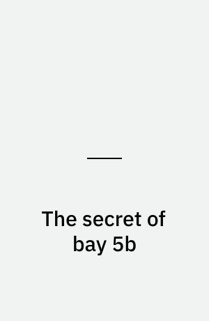 The secret of bay 5b