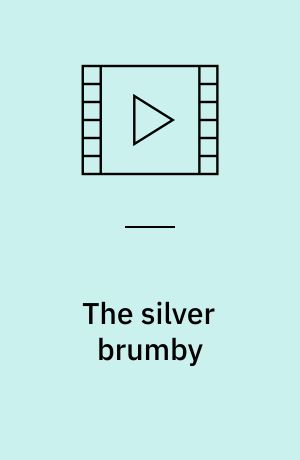 The silver brumby