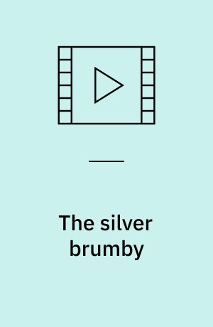 The silver brumby