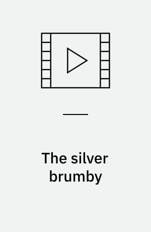 The silver brumby
