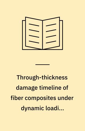 Through-thickness damage timeline of fiber composites under dynamic loading : Ph.D. thesis