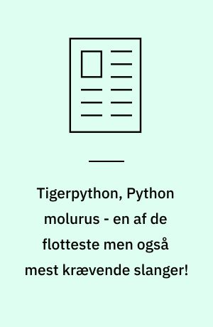 Tigerpython, Python molurus - en af de flotteste men også mest krævende slanger!