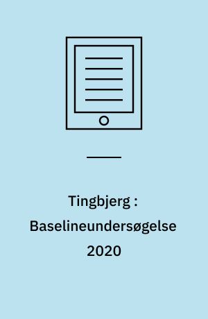 Tingbjerg : Baselineundersøgelse 2020