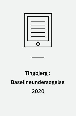 Tingbjerg : Baselineundersøgelse 2020