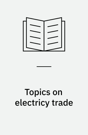 Topics on electricy trade