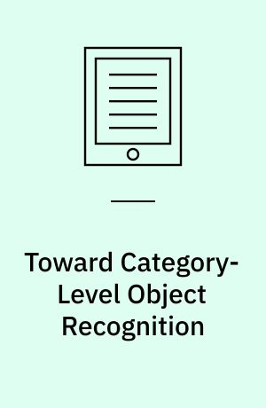 Toward Category-Level Object Recognition