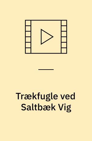 Trækfugle ved Saltbæk Vig