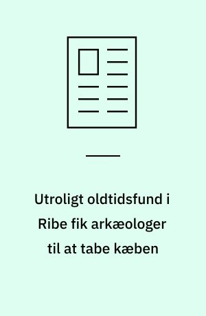 Utroligt oldtidsfund i Ribe fik arkæologer til at tabe kæben