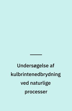 Undersøgelse af kulbrintenedbrydning ved naturlige processer : Nykøbingvej 295, Radsted