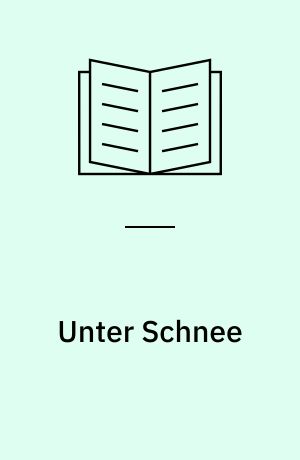 Unter Schnee : Episodenroman