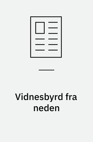 Vidnesbyrd fra neden : Bliktrommen