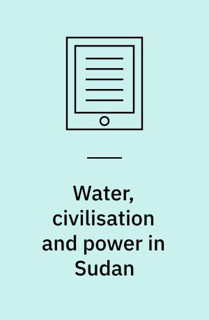 Water, civilisation and power in Sudan : the political economy of military-Islamist state building