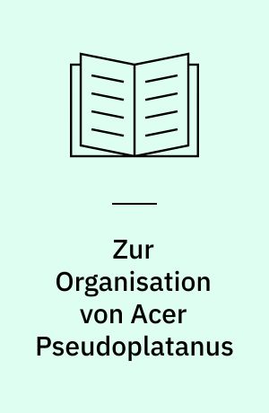 Zur Organisation von Acer Pseudoplatanus