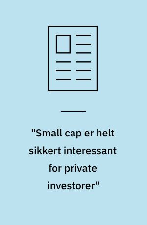 "Small cap er helt sikkert interessant for private investorer"