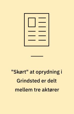 "Skørt" at oprydning i Grindsted er delt mellem tre aktører