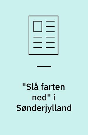 "Slå farten ned" i Sønderjylland : erfaringerne i Sønderjylland med kampagnen "Slå farten ned"