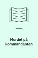 Mordet på kommandanten - en ide viser sig